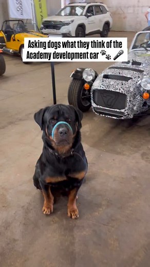 9.5K views · 126 reactions | These pups sniffed out the Caterham Academy development car and were paw-sitively impressed  If the thought of going racing next year in the Academy gets your tail wagging, enquire with us today!   Follow the link in our bio for more info. #Caterham #PureSimpleFun #CaterhamAcademy #DogsOfInstagram #DogsAndCars | Caterham | Facebook