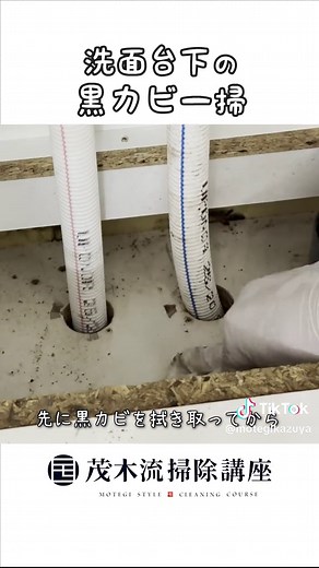 洗面台カビ対策と除菌方法 | 黒カビ対処法と臭い消し方【茂木流掃除】