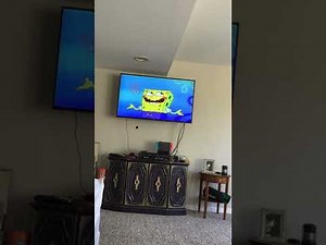 Opening To SpongeBob SquarePants Where's Gary? 2005 VHS