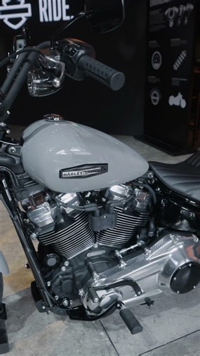2025 Street Bob #shorts