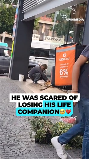 24K views · 396 reactions | He almost lost his best friend  His situation prevented him from finding the help he needed for his dog, but hope is the last thing to be lost. #WE | Positive | Facebook