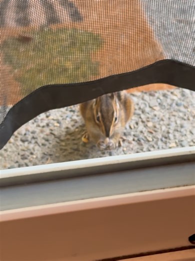 Liz Johnson on Reels