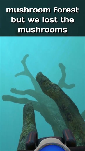 Bro Stole the Mushroom Forest in Subnautica