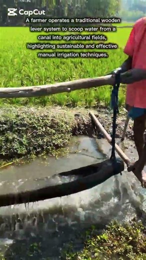 Traditional Manual Irrigation Method