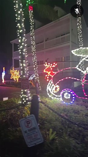 Holiday Lights | Key West Finest