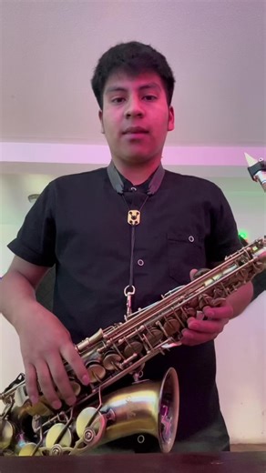 Notas del Saxofón: Nombres y Funciones de las Teclas Exploradas por Diego Pérez