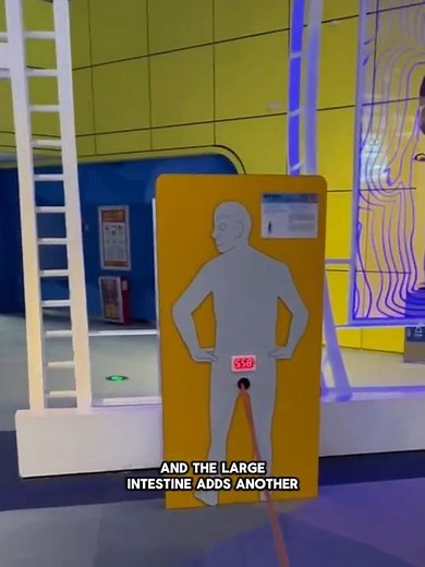 How long is human intestine #dndx1