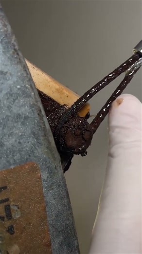 Blaster surface shield let me show you how it works #blastfoam ￼