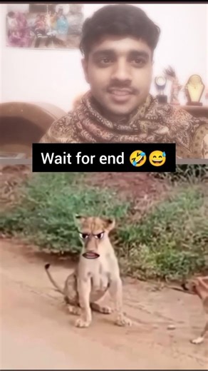 funny vdo 😅🤣 #viral #short #tranding #trand #funnyshorts #funnyvideo #funny #fun #memesworldvishal