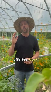 🎓 Les candidatures à nos bourses 2025 sont ouvertes! Et cette année, il y a du nouveau! Pour la première fois, nous offrons : 15 bourses pour la Masterclass du jardinier-maraîcher (dont 5 réservées à la communauté maraîchère au Canada grâce à CFMOTO Canada 🇨🇦) NOUVEAU 🌼 5 bourses pour La ferme florale, notre formation dédiée à la culture de fleurs NOUVEAU 🥕 Et chaque lauréat·e recevra aussi un abonnement gratuit d’un an à Heirloom Ag, notre application de planification des cultures! Nous pe