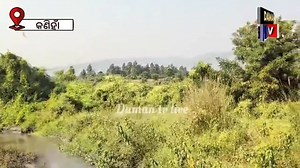 ଡେରେଙ୍ଗ ସ୍ଥିତ କମ୍ପାନୀର ପାଉଁସପାଣି ଛାଡିବା କାରଣୁ ଚାଷ ଜମି କ୍ଷତିଗ୍ରସ୍ତ ହେଉଥିବା ନେଇ ଅଭିଯୋଗ ଜଣାଇଲେ ଚାଷି#କଣିହାଁ#ଅନୁଗୁଳ#damantv | Daman TV Live