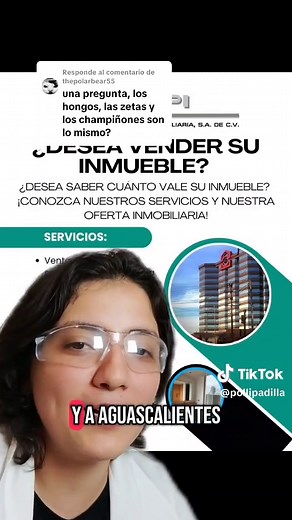 Diferencias entre hongos, setas y champiñones