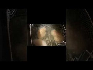 Frying Chicken wings in deep fryer