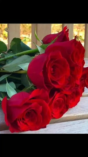 La Güera Briones on TikTok