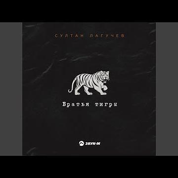 Братья тигры