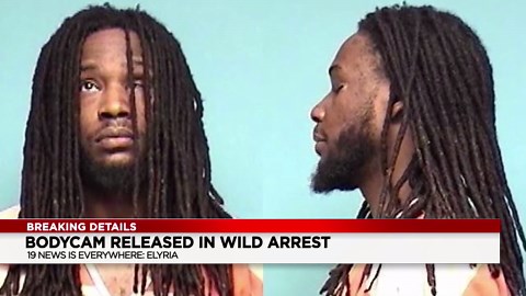 Michigan man who tried to run over Elyria police officers pleads guilty