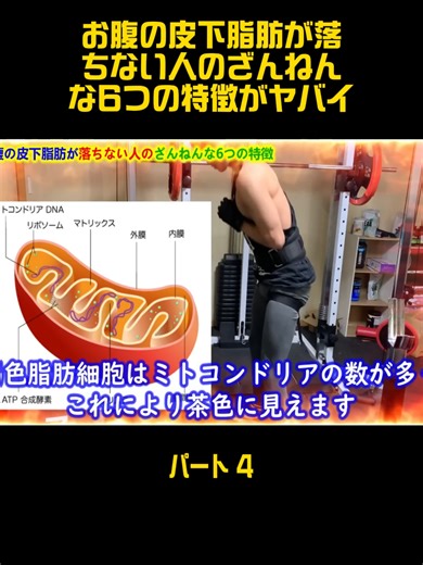 お腹の皮下脂肪が落ちない人の特徴6選