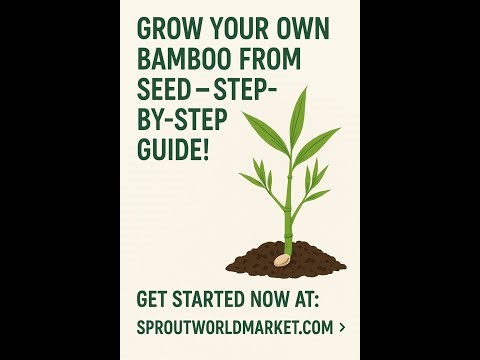 Growing Bamboo from Seed A Step by Step Guide