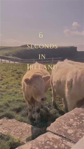 Ireland on film!