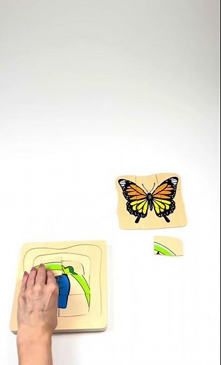 Growth and Layer Puzzle – Butterfly | E&O Montessori