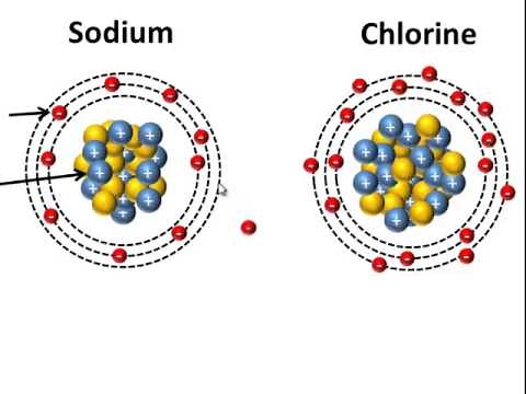 Sodium and Chloride ions