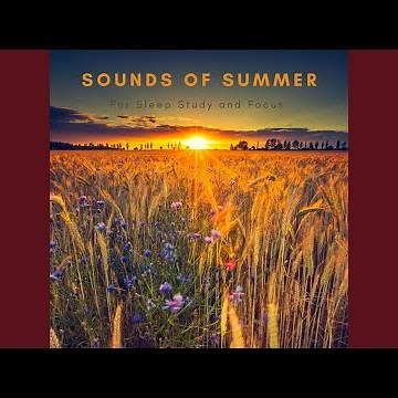 Summer Sounds for Relaxing