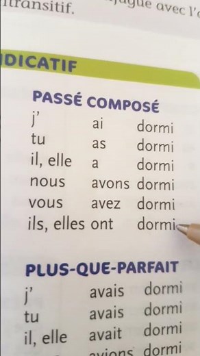 The verb dormir in the past tense #education #morocco #french #french