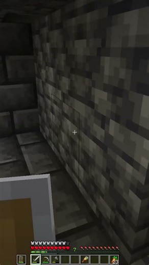 I’m a squirrel that’s gone NUTS 🐿️ #minecraft #shorts #vanillaminecraft #networksquirrel #gonenuts