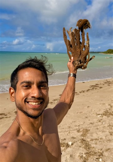 Discovering Tobago's Hidden Gem Beach