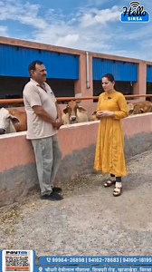 7.4K views · 262 reactions | सिरसा की ऐसी गौशाला जहाँ गौ माता की सेवा भी की जाती है साथ ही साथ उनका उपचार भी किया जाता है| #chaudharydevilalgaushala #gaushala #sirsagaushala #gaumata #sirsa #updates #hellosirsa | Hello Sirsa | Facebook