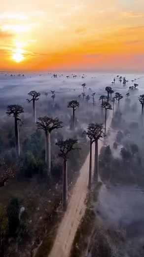Madagascar, East Africa 🌍 🎥 @cityscape_discovery | Exploring Planet