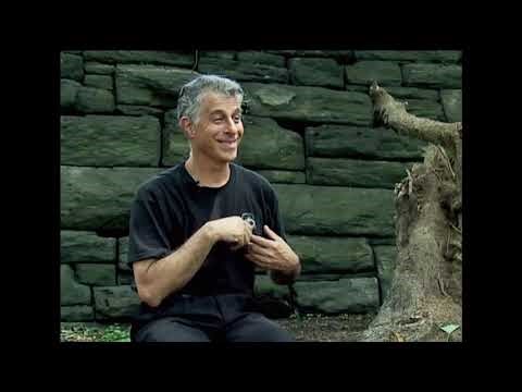 Tai Chi & The Squirrel
