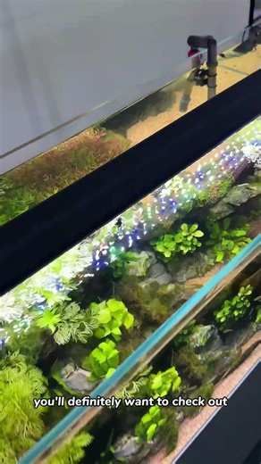 Fully Programmable LED for Freshwater Tanks
