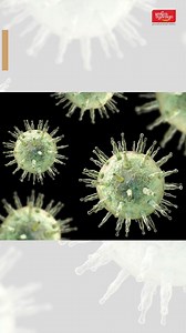 Infectious mononucleosis, also called “mono,” is a contagious...