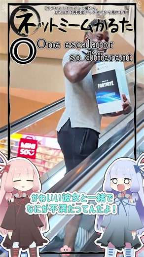 琴葉ggr姉妹のネットミームかるた#263 「One escalator so different」