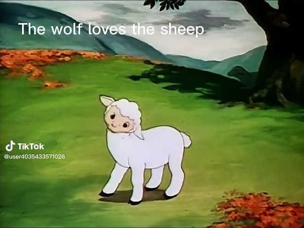 Wolf love sheep #animation #funny#fyp@tiktok | animation