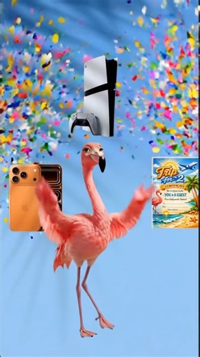 Candyland | Aquapark | Dry Park | Playground on Instagram: "🦩 FIND YOUR FLAMINGO Candyland’den Yaratıcı Instagram Yarışması En parlak, en yaratıcı ve unutulmaz flamingo hikâyelerini arıyoruz 🦩 ✨ Format serbest: — video — fotoğraf — illüstrasyon / çizilmiş görsel — animasyon — gerçek bir flamingo ya da Candyland’deki flamingolar ❗ Karede yalnızca flamingo yer almalıdır. İnsan bulunması zorunlu değildir. ❗ Bu bir çekiliş değildir. En yaratıcı fikir, duygu ve wow etkisi kazandırır. 🎯 Nasıl katıl