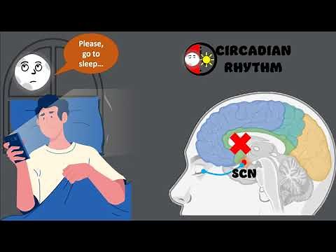 How Blue Light Affects Our Ability to Sleep
