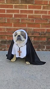 "How do you solve a problem like Maria? You don't, you just make play clothes from old curtains." Kim Nosenchuk | Frenchies.1