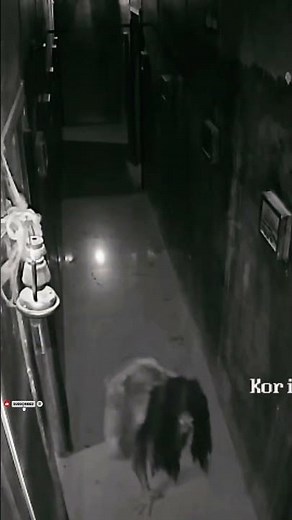 Escape Room Horror Reactions Caught on Camera