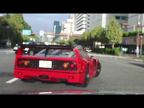 【超貴重】F40に遭遇‼︎ バチバチ音と加速音が凄まじい‼︎ F40 on the road in Tokyo