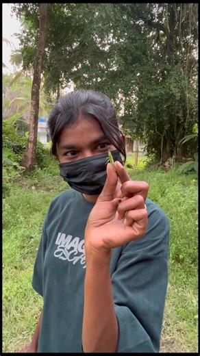 പച്ചക്കാളയിൽ കിട്ടിയ കൊമ്പൻ🥵 #shorts #fishing #fish