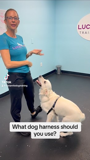 16 reactions | Lucky Dog Training Club on Reels | Facebook