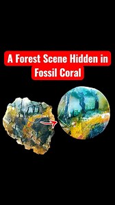 At first glance, this looks like a quiet forest scene. But it’s actually fossil coral — naturally transformed over time, creating a scenic, landscape-like pattern. A short lapidary process, shaping an ancient coral into a polished cabochon — where geology and imagination meet. 🌿💎 #FossilCoral #AgatizedCoral #LapidaryArt #CabochonMaking #ScenicStone #HandmadeCabochon | Yazid Ikhsani