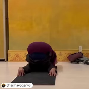 175K views · 3.3K reactions | Transition fun with Sri Dharma -plough to rabbit and back again  ❤️ Join Sri Dharma this week: Wed Noon Master Class and 1:45 pm Kirtan Thurs Noon Master Class Sat New Years Day!!! 2022 10am Maha Shakti and 11:30am Yoga Nidra Sunday 7pm Holy Satsang with Adam Amazing ❤️ Have a perfect week and may all beings be happy and free OM ❤️❤️ Thank you Lori Pagliaroni for video ❤️ | Dharma Yoga | Facebook