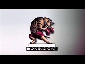 Boxing Cat Films Logo (2001)