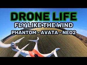 DRONE LIFE / DJI AVATA 2 / DJI NEO 2 / DJI PHANTOM 4