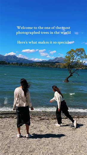 Discover the story behind the 📍 Wanaka Tree, Wanaka, New Zealand The iconic tree has captured hearts around the world. Rooted in resilience, surrounded by breathtaking beauty and framed by NZ’s majestic mountains, it’s a symbol of eternity! Have you seen anything so magical? Drop a 🌳 in the comments if this is on your travel bucket list!! #TravelReels #NatureLovers #ScenicViews #TravelNewZealand #WanakaTree #LakeWanaka #NZMustDo #NewZealandAdventures #BucketListTravel #WanderlustVibes #InstaTr