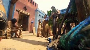 novela genesis VC NUNCA VIU ISSO