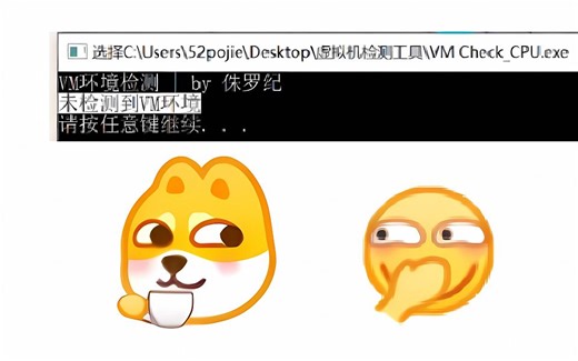 【虚拟机检测实验】上篇：你以为的你以为，真的是你以为的吗？